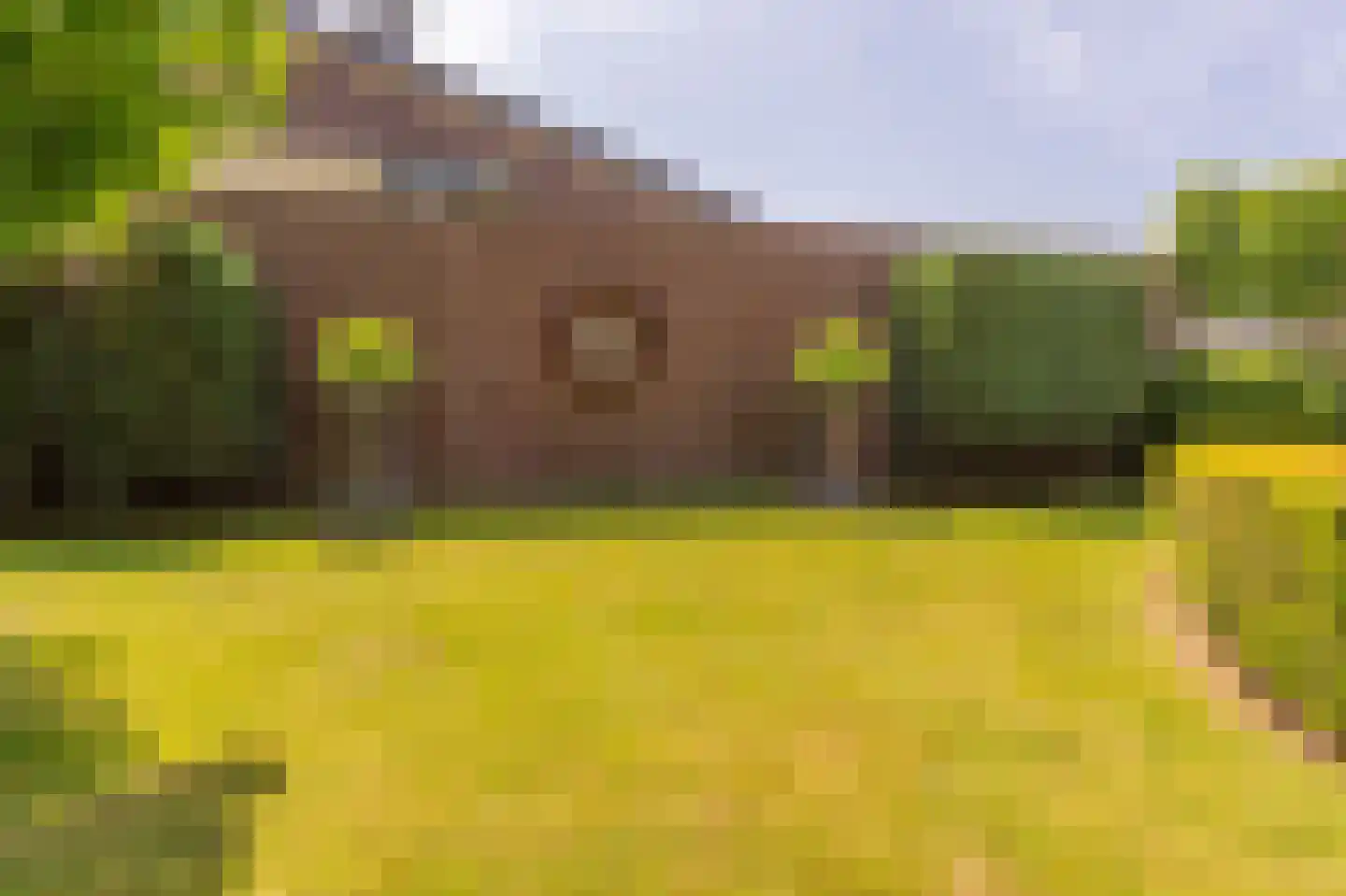 Collendoorn 24 Raalte thumbnail 66