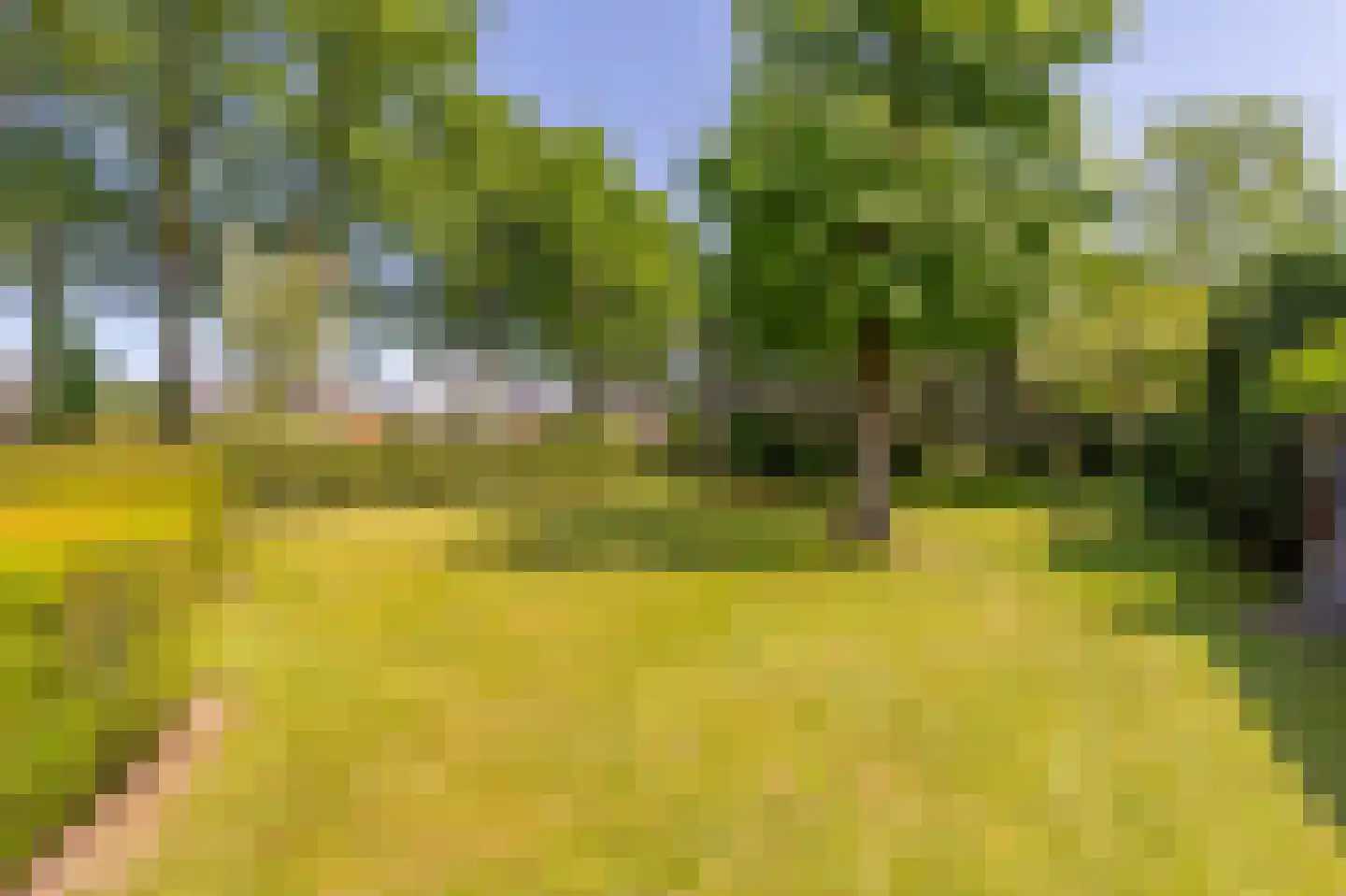 Collendoorn 24 Raalte thumbnail 68