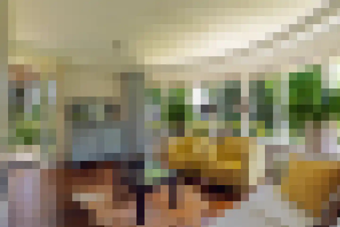Collendoorn 24 Raalte thumbnail 7