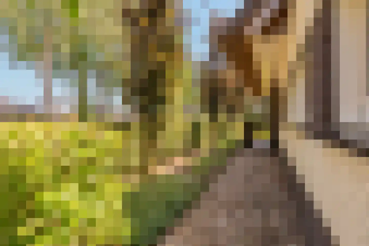 Collendoorn 24 Raalte thumbnail 72