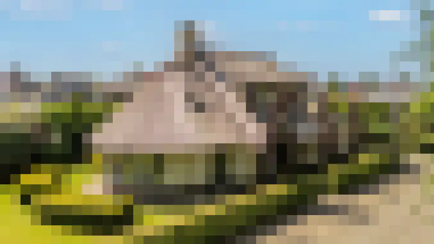 Collendoorn 24 Raalte thumbnail 73