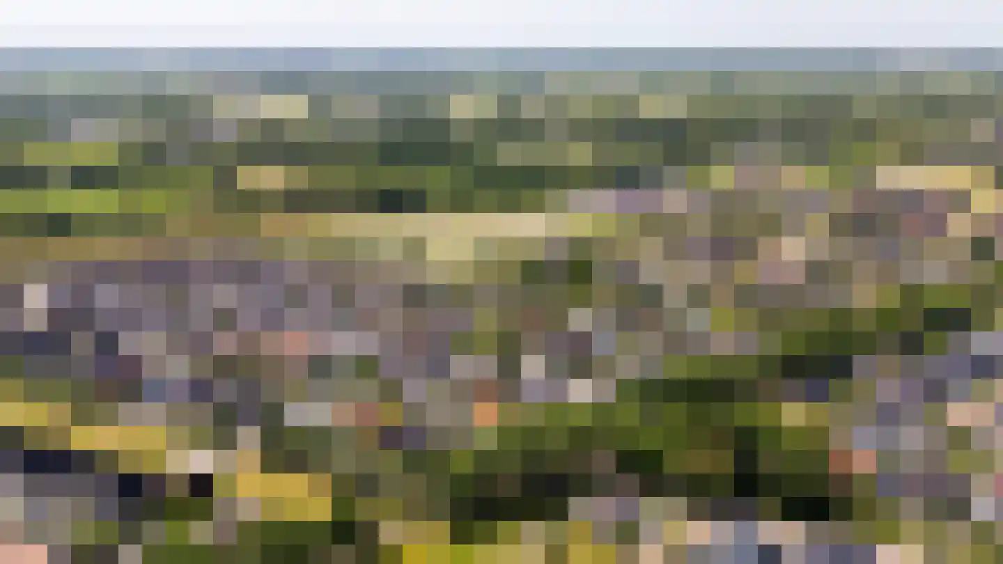 Collendoorn 24 Raalte thumbnail 75