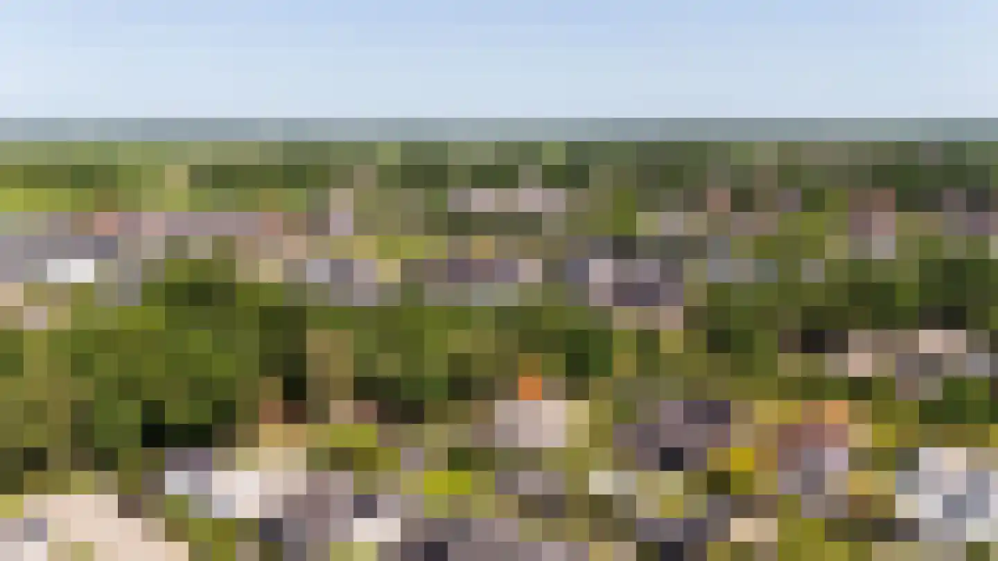 Collendoorn 24 Raalte thumbnail 76