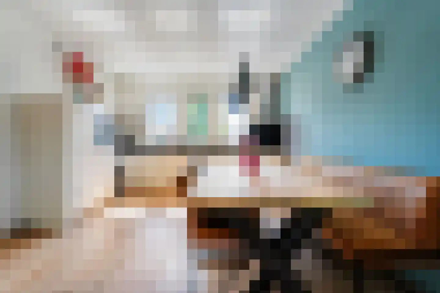 Collendoorn 3 Raalte thumbnail 18