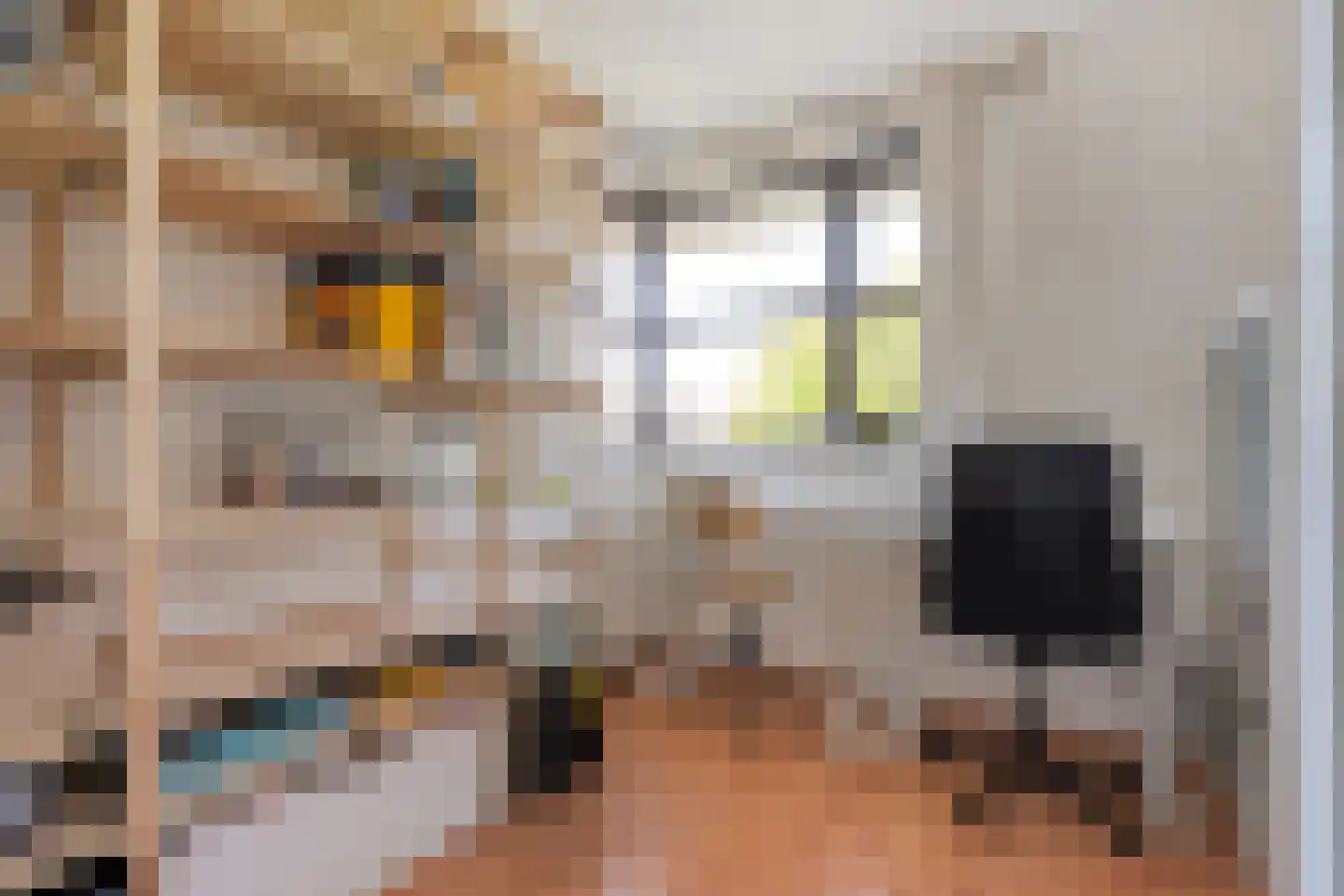 Collendoorn 3 Raalte thumbnail 34
