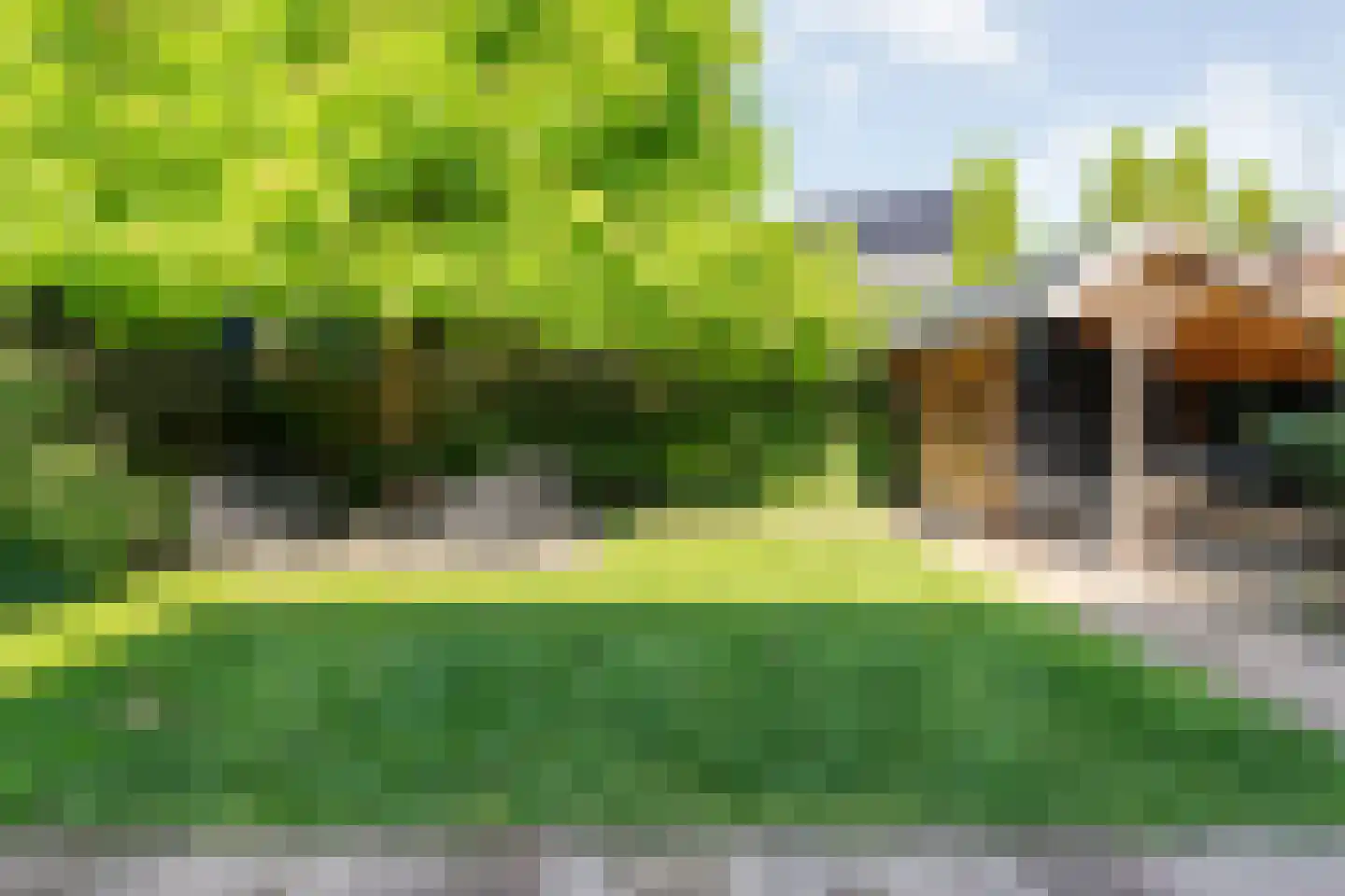Collendoorn 3 Raalte thumbnail 47
