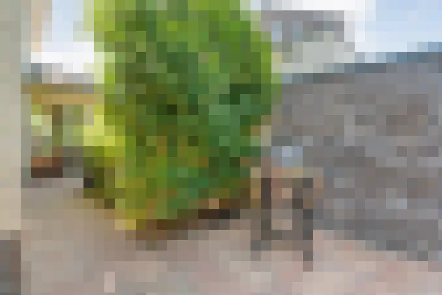 Collendoorn 3 Raalte thumbnail 48