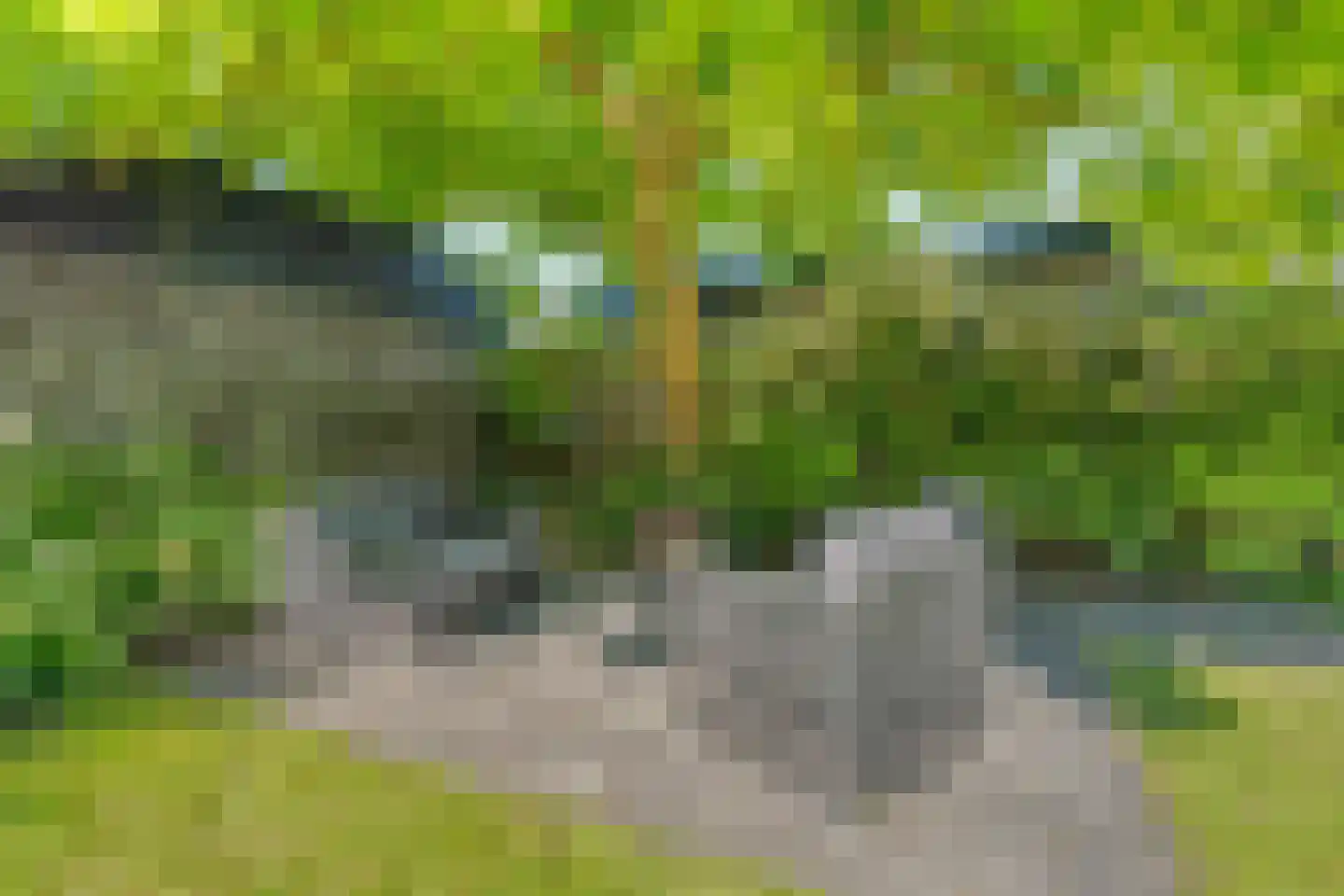 Collendoorn 3 Raalte thumbnail 49