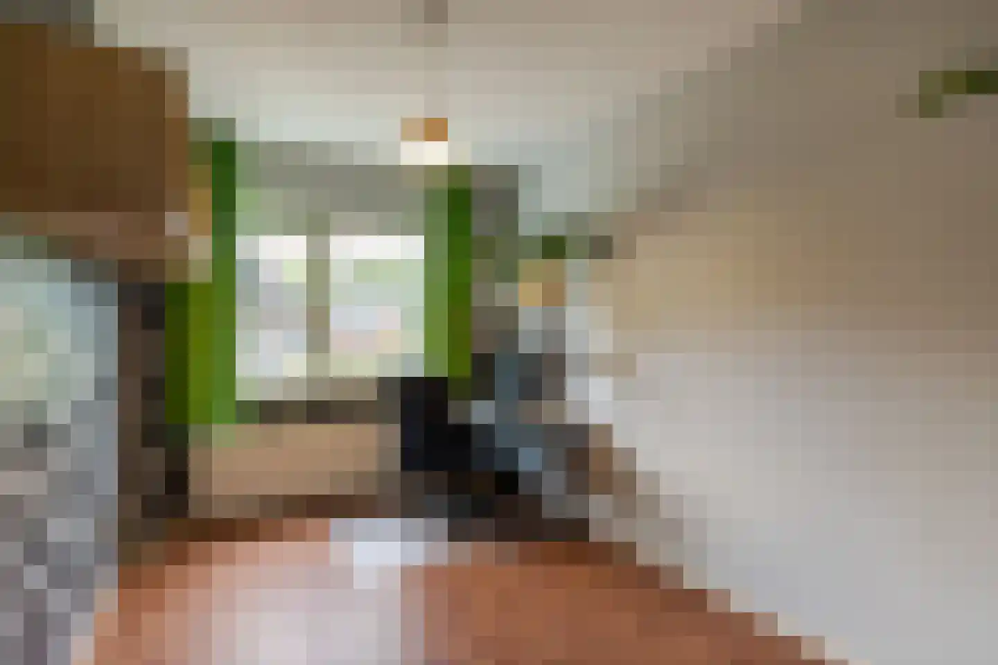 Collendoorn 37 Raalte thumbnail 31