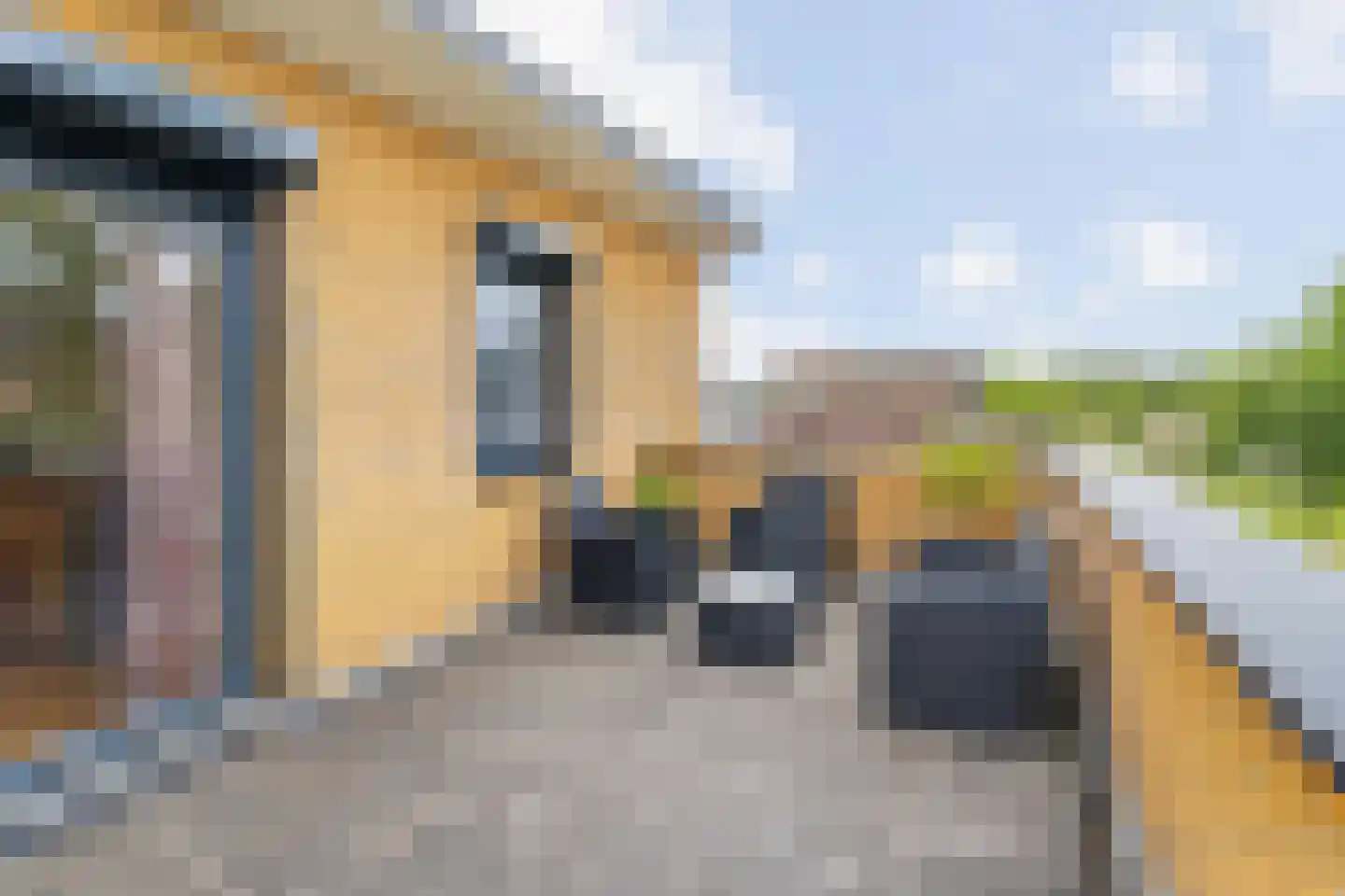 Collendoorn 37 Raalte thumbnail 40