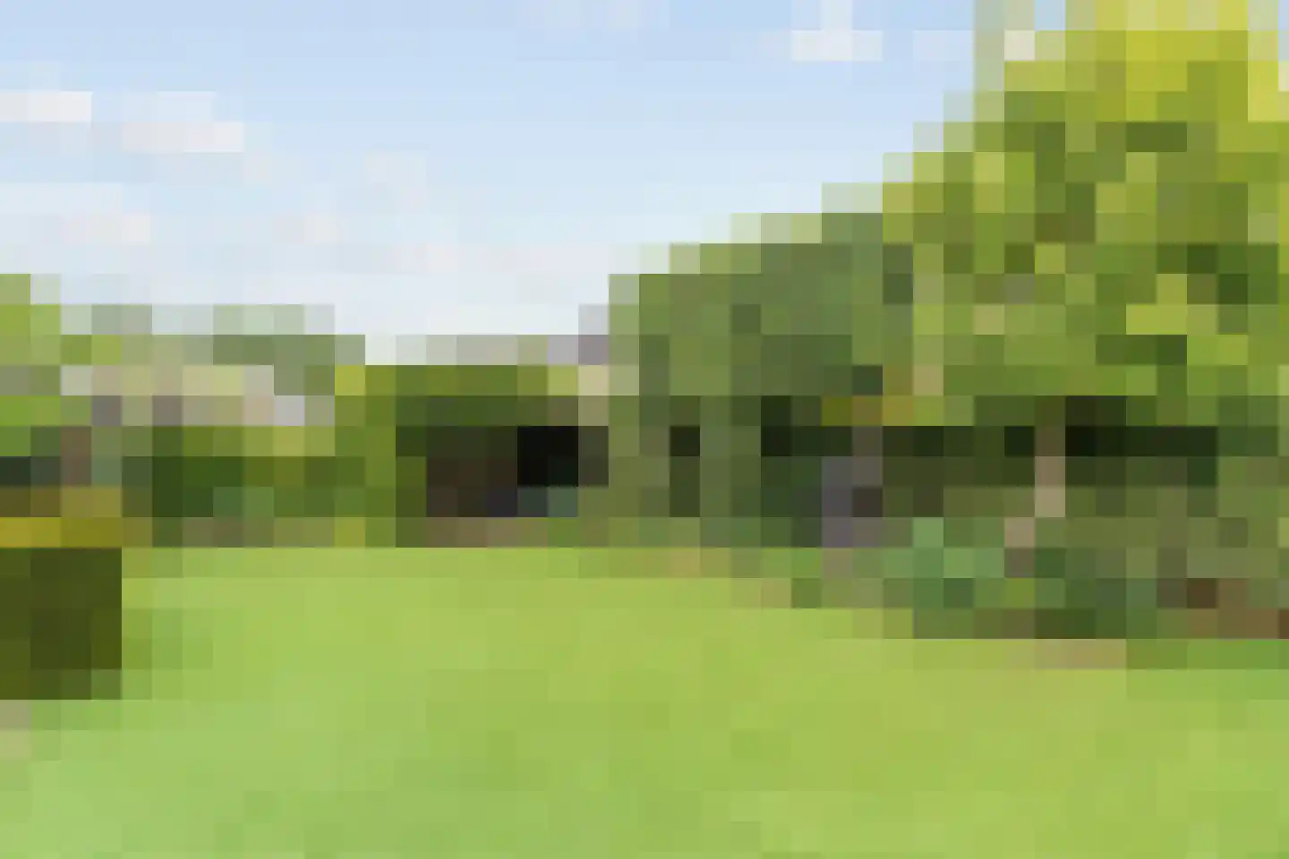 Collendoorn 37 Raalte thumbnail 54