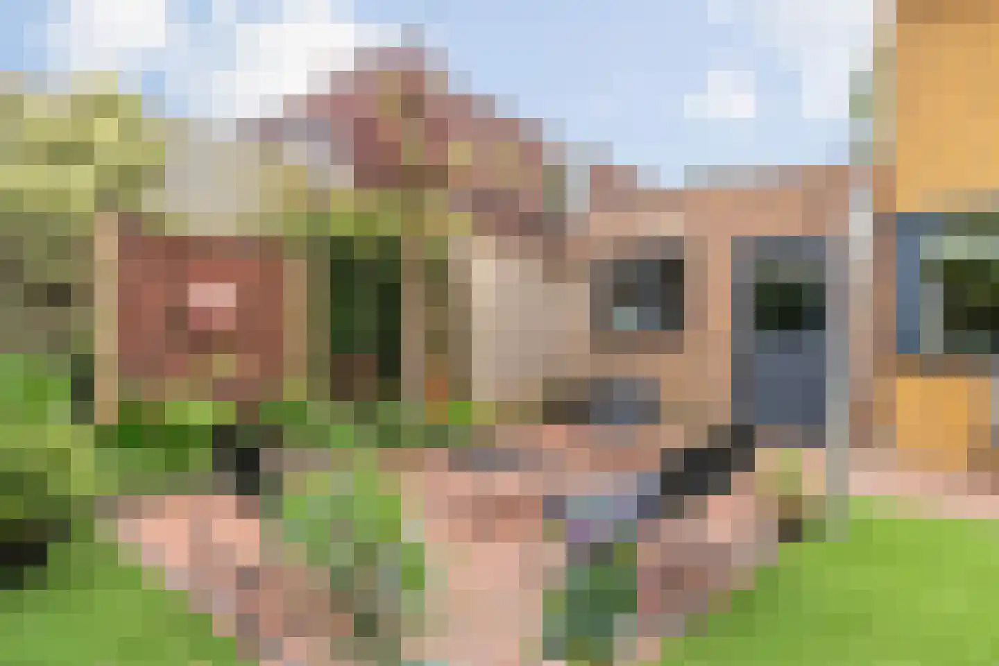Collendoorn 37 Raalte thumbnail 58