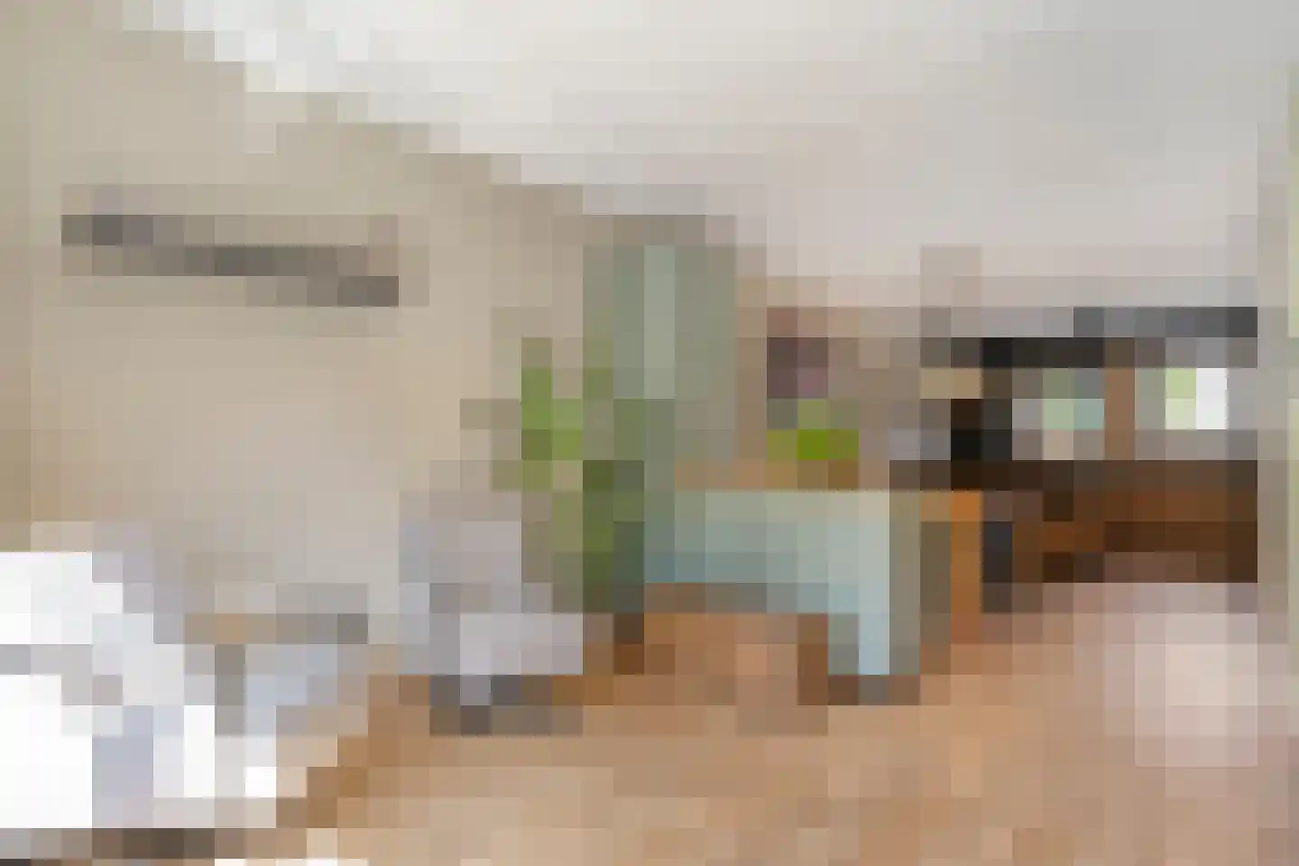 Collendoorn 7 Raalte thumbnail 18