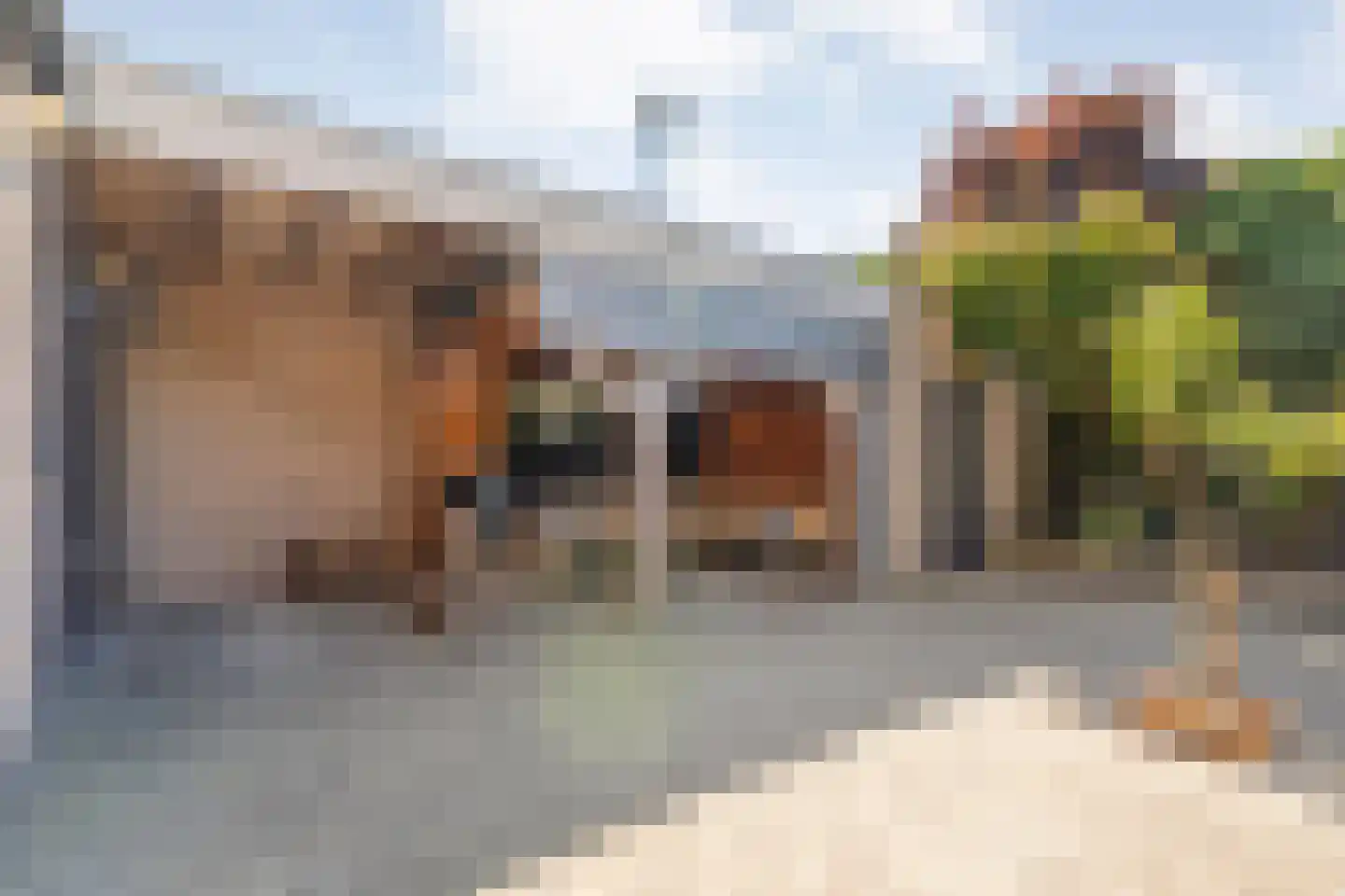 Collendoorn 7 Raalte thumbnail 45