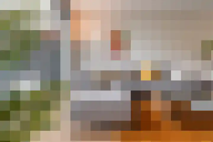 Collendoorn 8 Raalte thumbnail 11