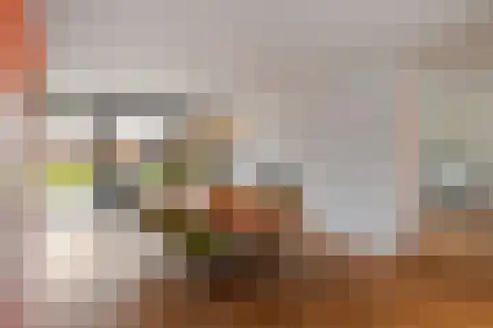 Collendoorn 8 Raalte thumbnail 16