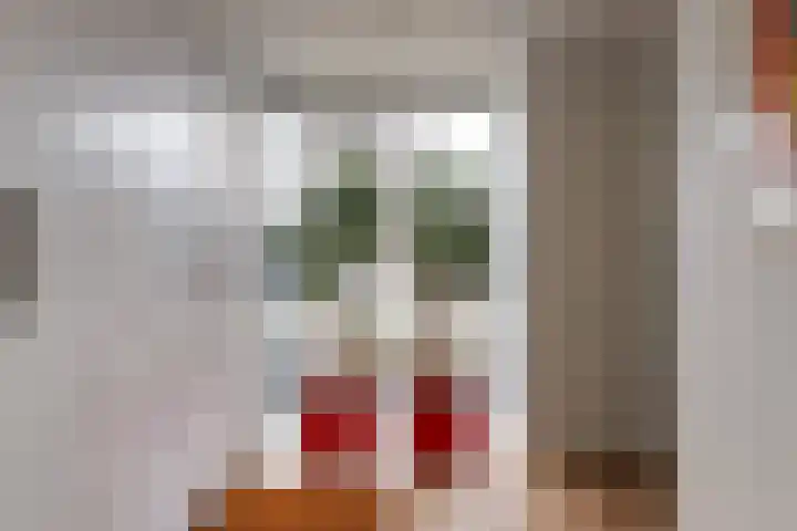 Collendoorn 8 Raalte thumbnail 26