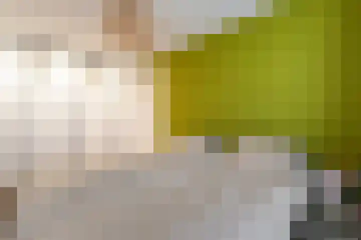Collendoorn 8 Raalte thumbnail 32