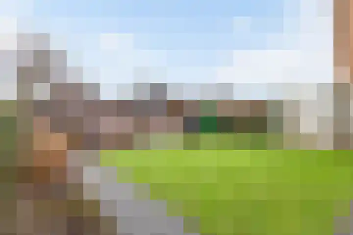 Collendoorn 8 Raalte thumbnail 47
