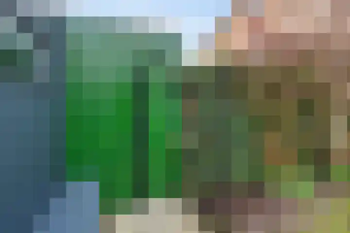 Collendoorn 8 Raalte thumbnail 48