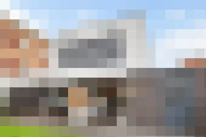 Collendoorn 8 Raalte thumbnail 53