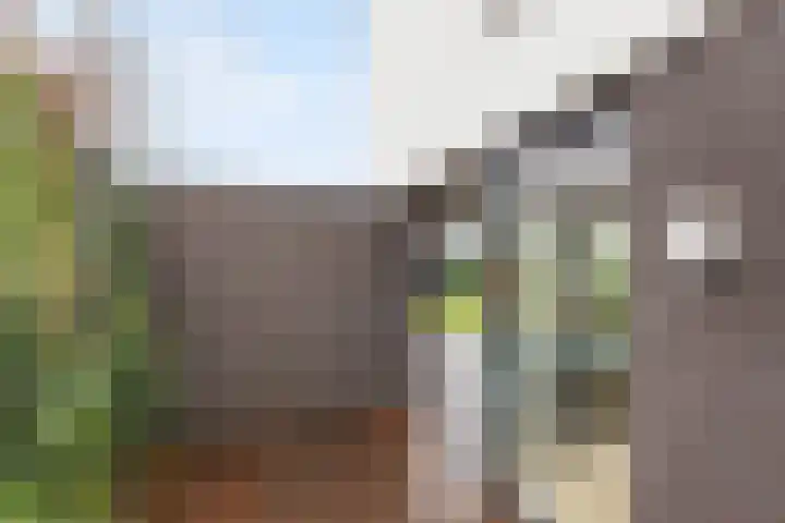 Collendoorn 8 Raalte thumbnail 55