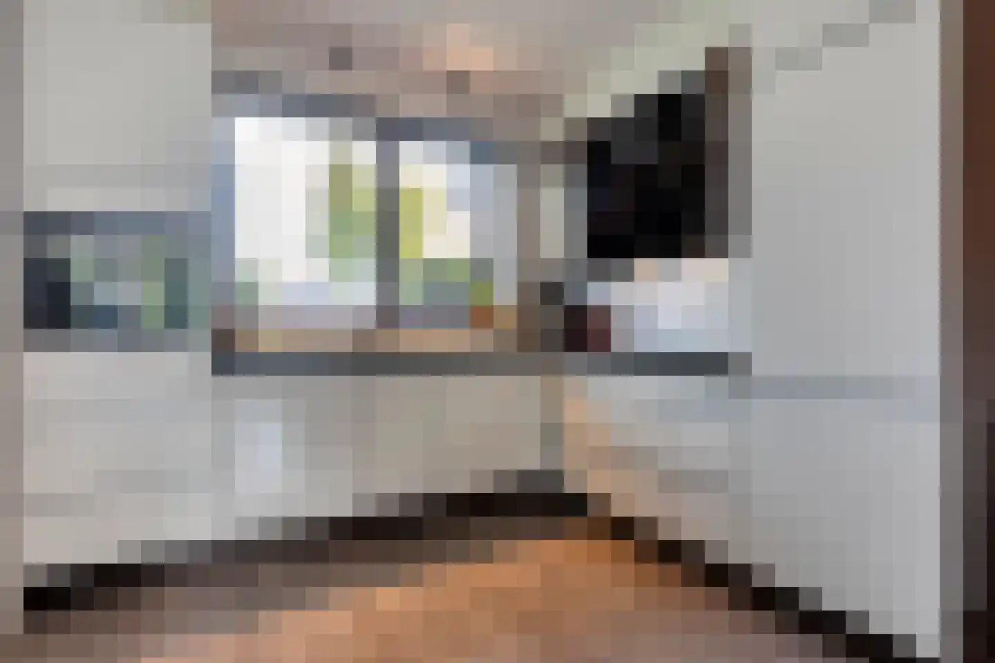 Collendoornstraat 9 Zwolle thumbnail 11