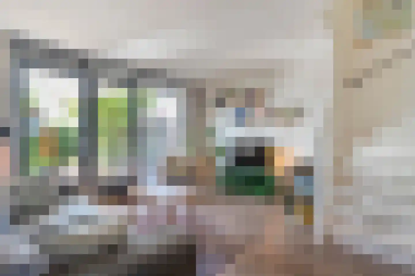 Collendoornstraat 9 Zwolle thumbnail 13
