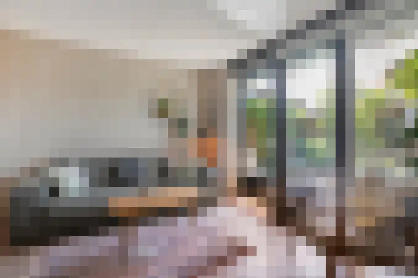 Collendoornstraat 9 Zwolle thumbnail 14