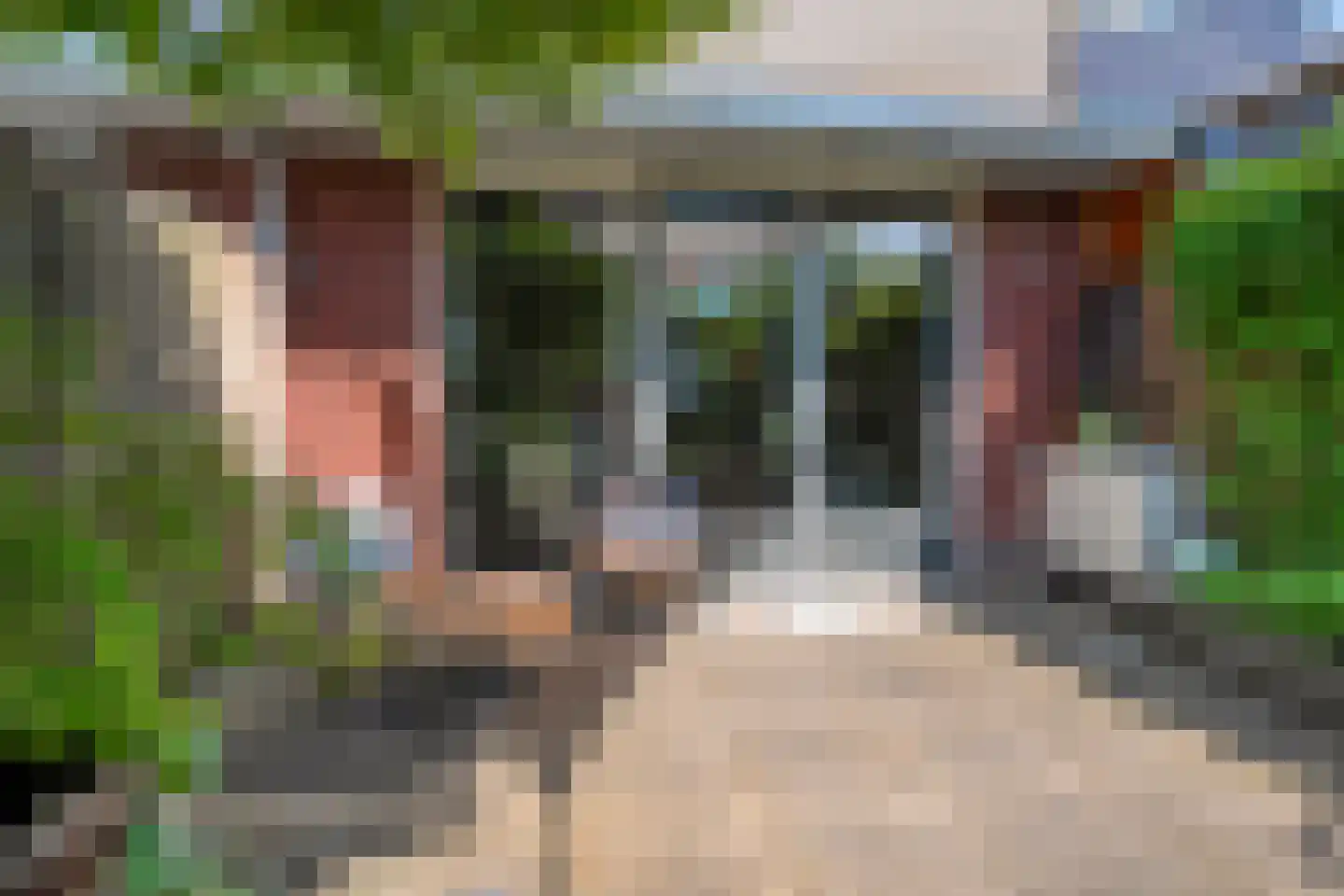Collendoornstraat 9 Zwolle thumbnail 29