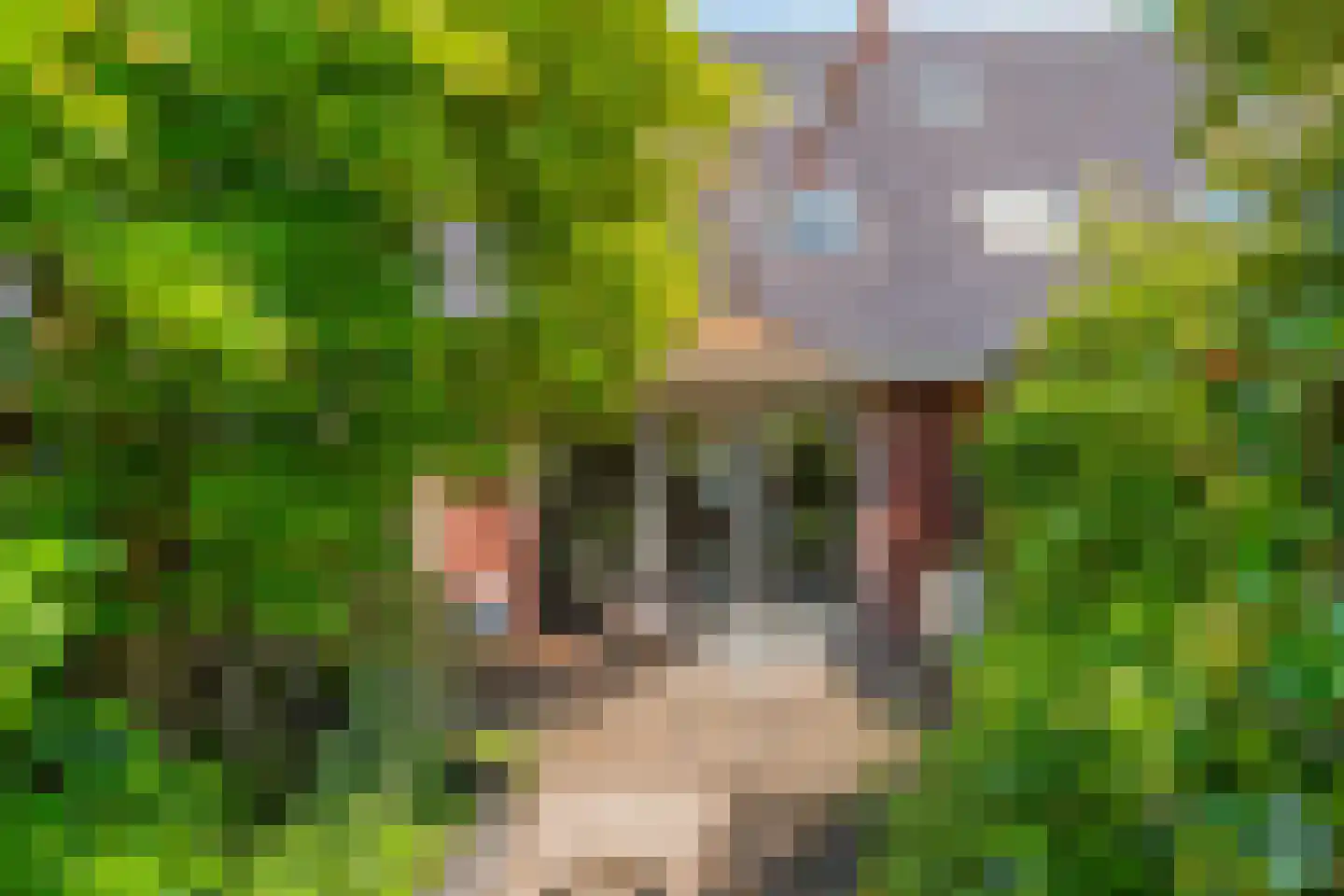 Collendoornstraat 9 Zwolle thumbnail 32