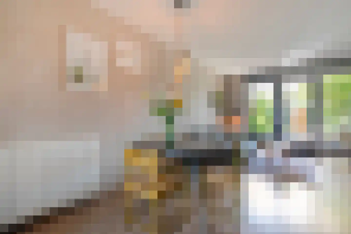 Collendoornstraat 9 Zwolle thumbnail 9