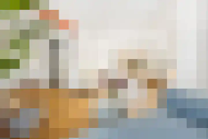 Collenkamp 8 Zevenaar thumbnail 11