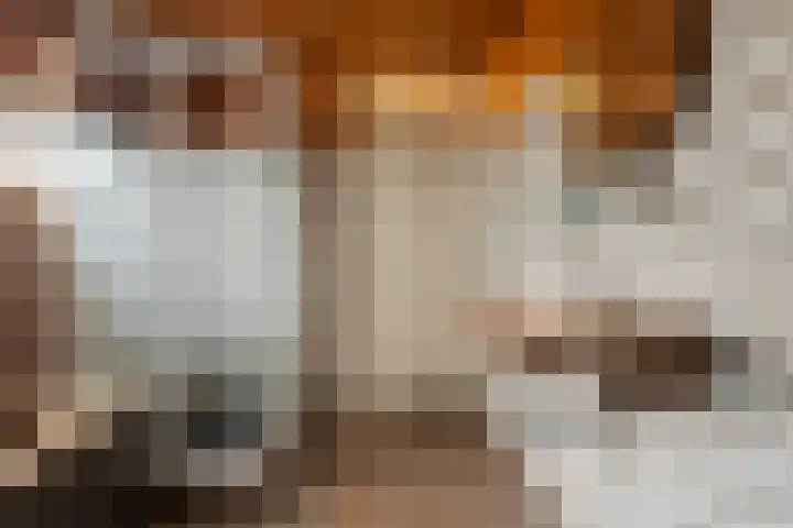 Collenkamp 8 Zevenaar thumbnail 27