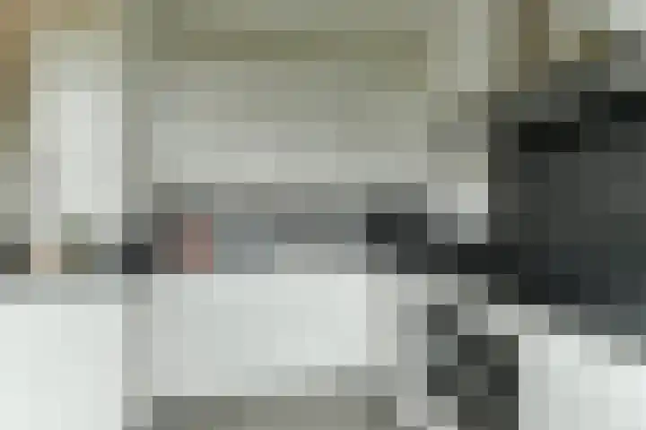 Collenkamp 8 Zevenaar thumbnail 30
