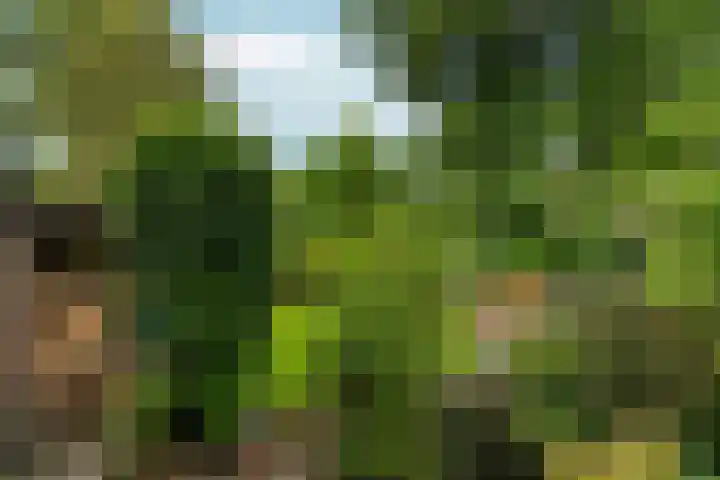 Collenkamp 8 Zevenaar thumbnail 34