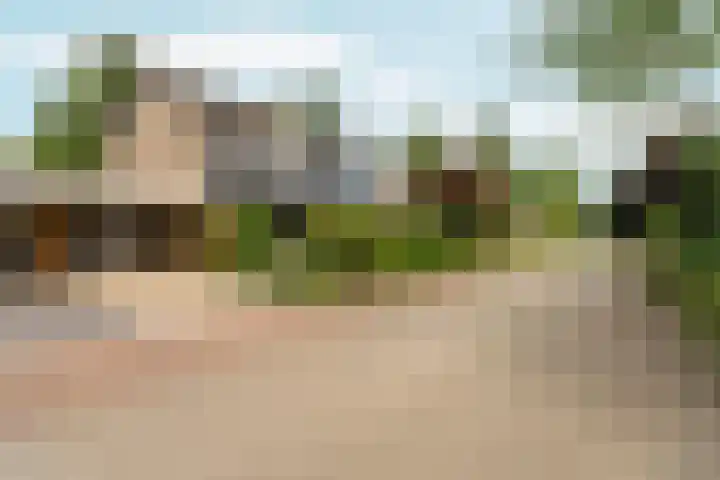 Collenkamp 8 Zevenaar thumbnail 39