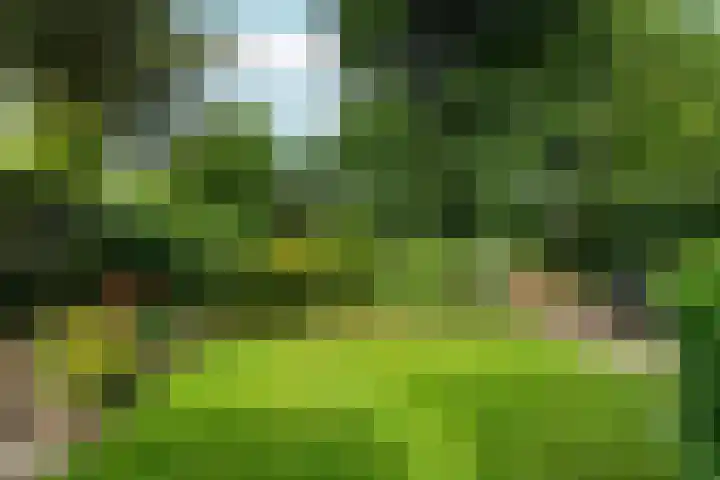 Collenkamp 8 Zevenaar thumbnail 5