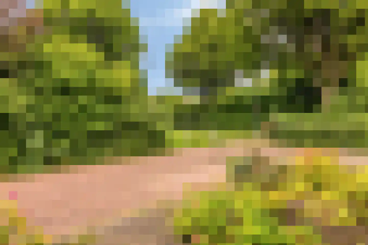 Collenkamp 9 Zevenaar thumbnail 11