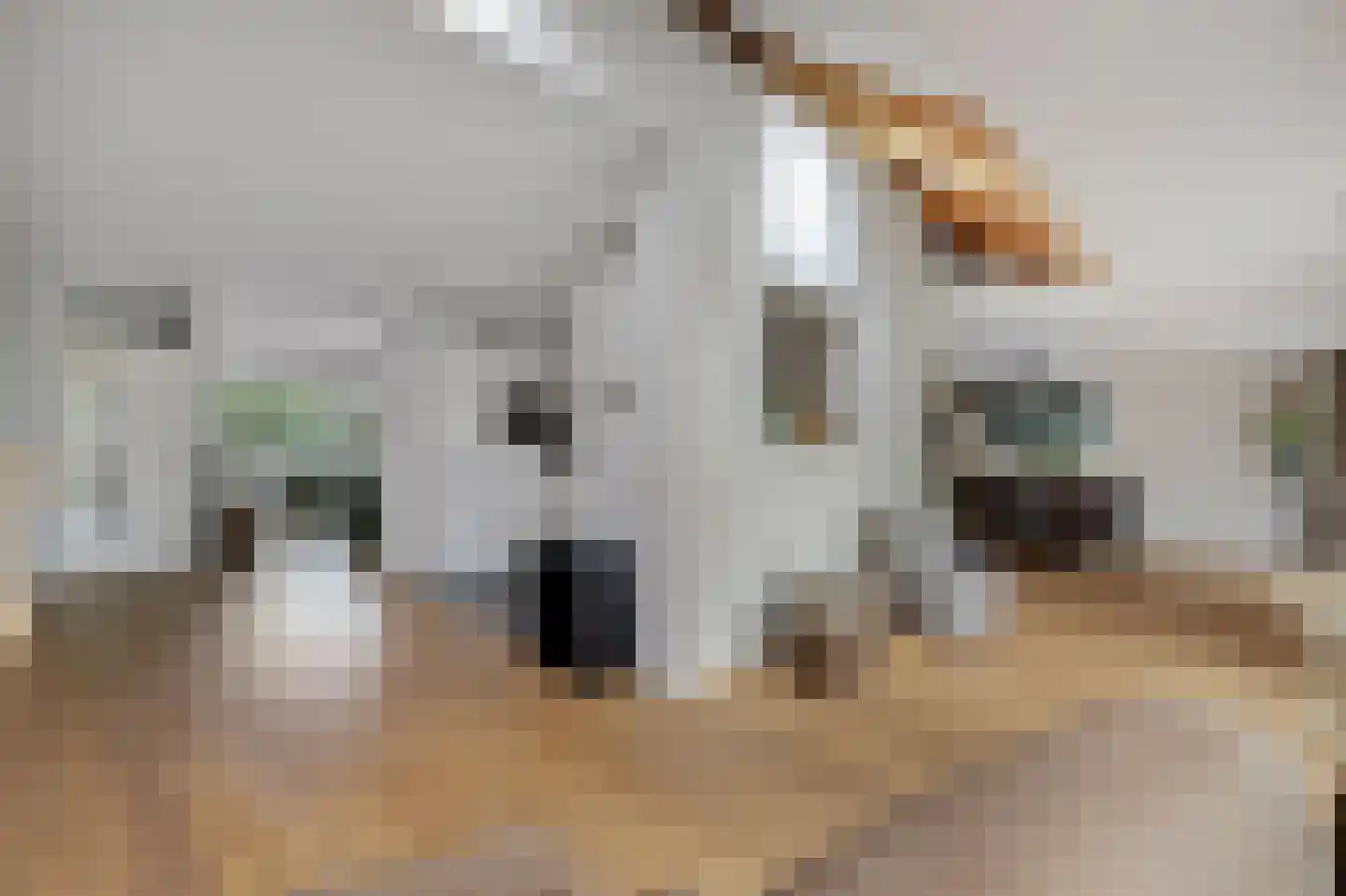 Collenkamp 9 Zevenaar thumbnail 26