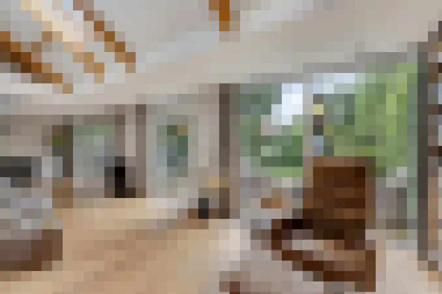 Collenkamp 9 Zevenaar thumbnail 27