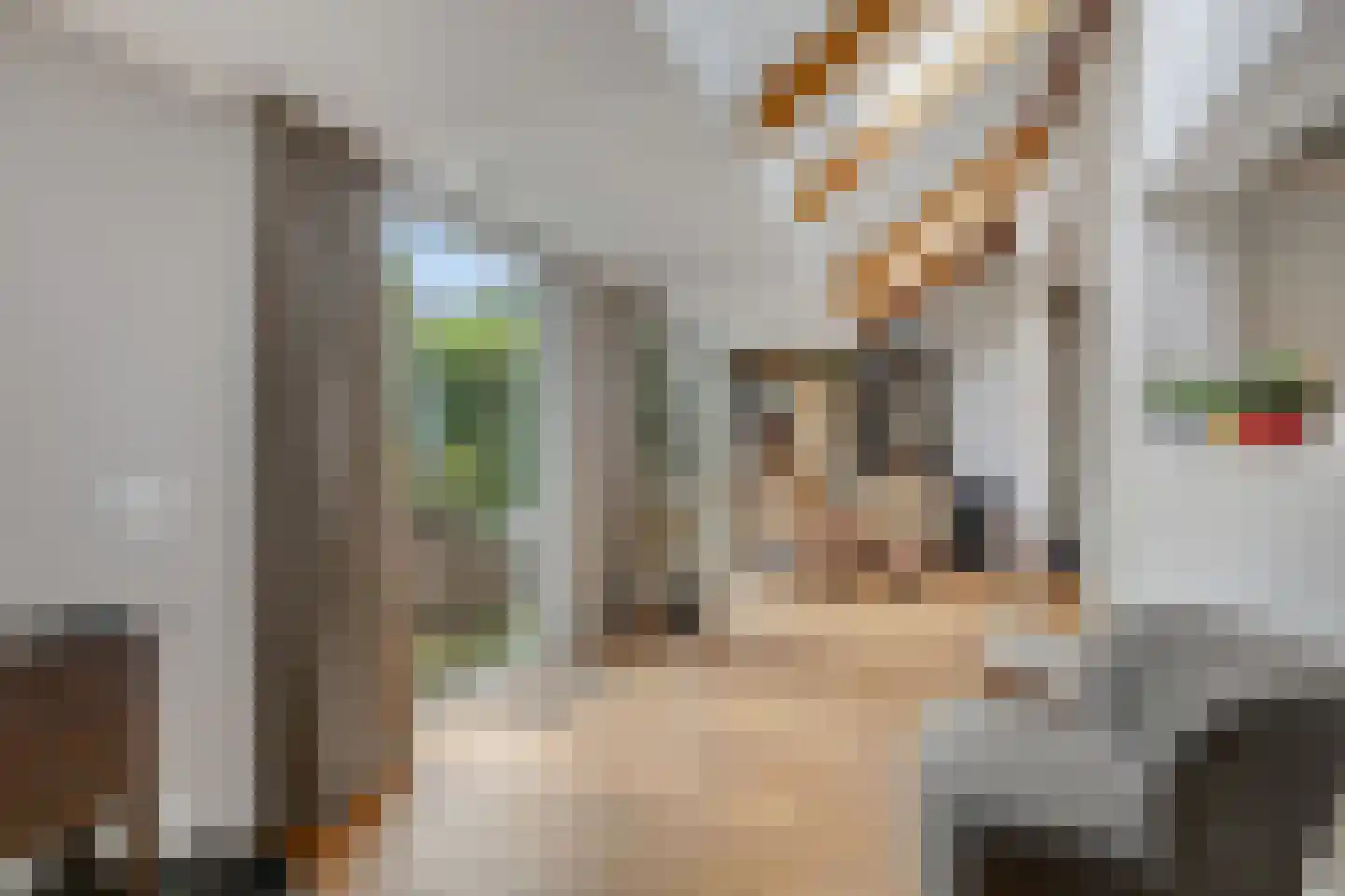 Collenkamp 9 Zevenaar thumbnail 28
