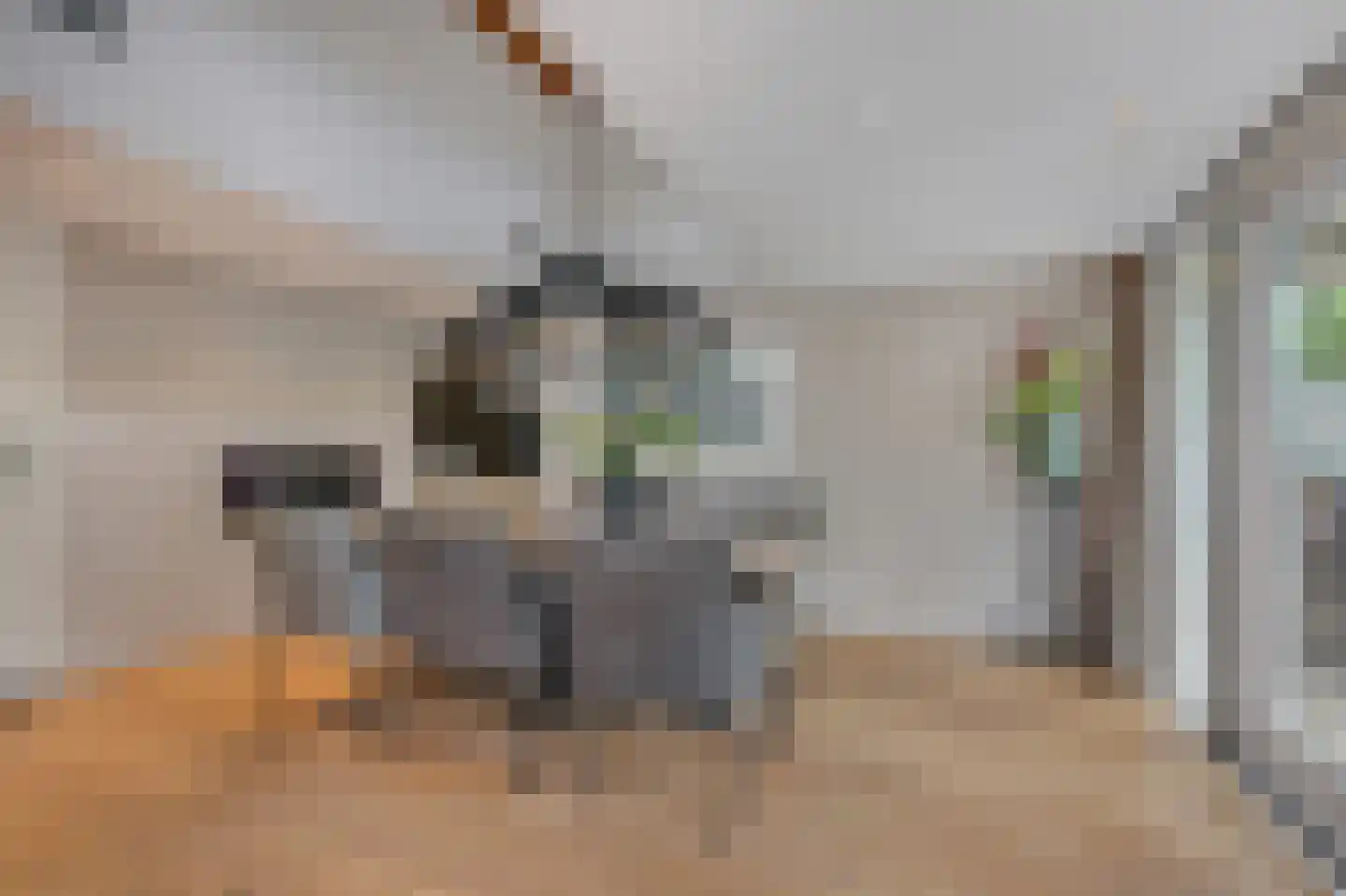 Collenkamp 9 Zevenaar thumbnail 30
