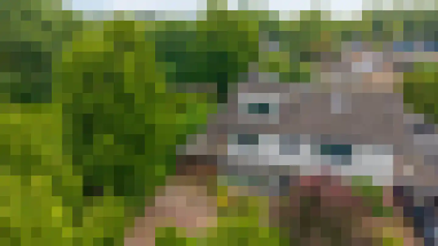 Collenkamp 9 Zevenaar thumbnail 5