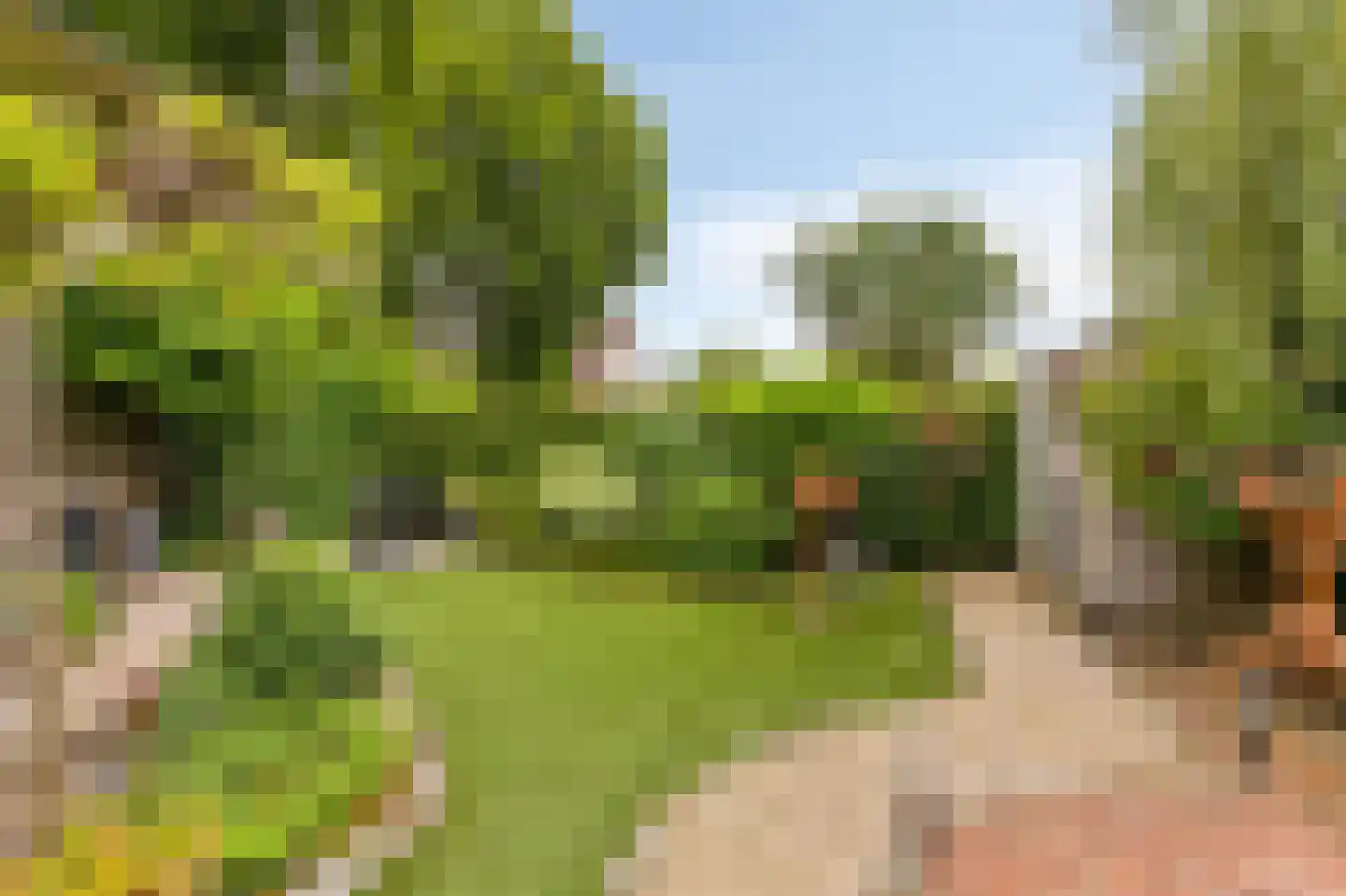 Collenkamp 9 Zevenaar thumbnail 57