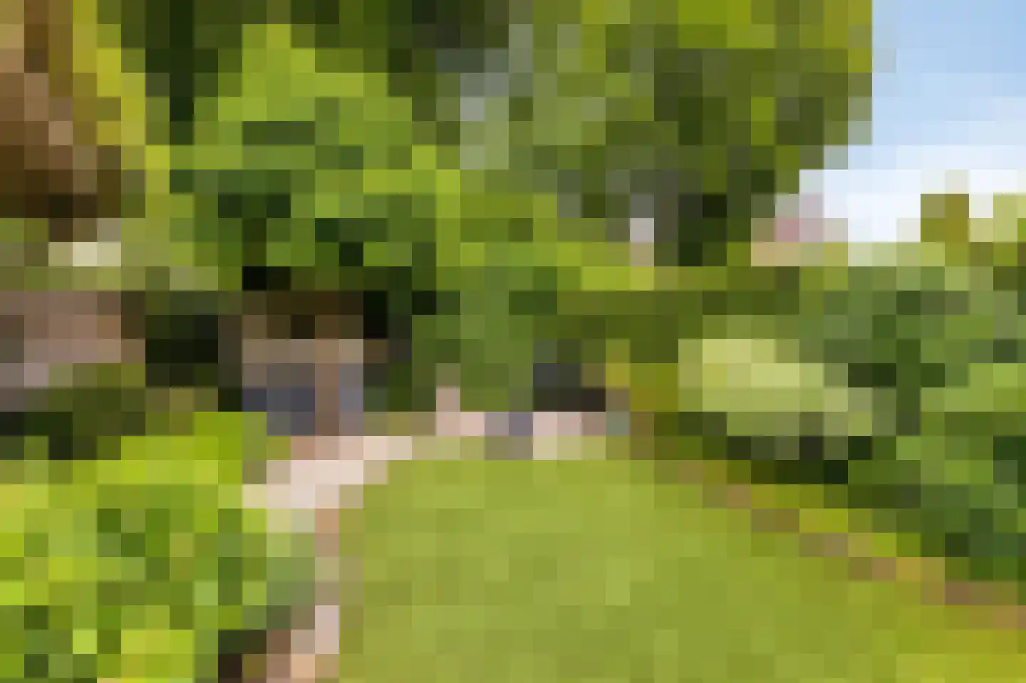 Collenkamp 9 Zevenaar thumbnail 58