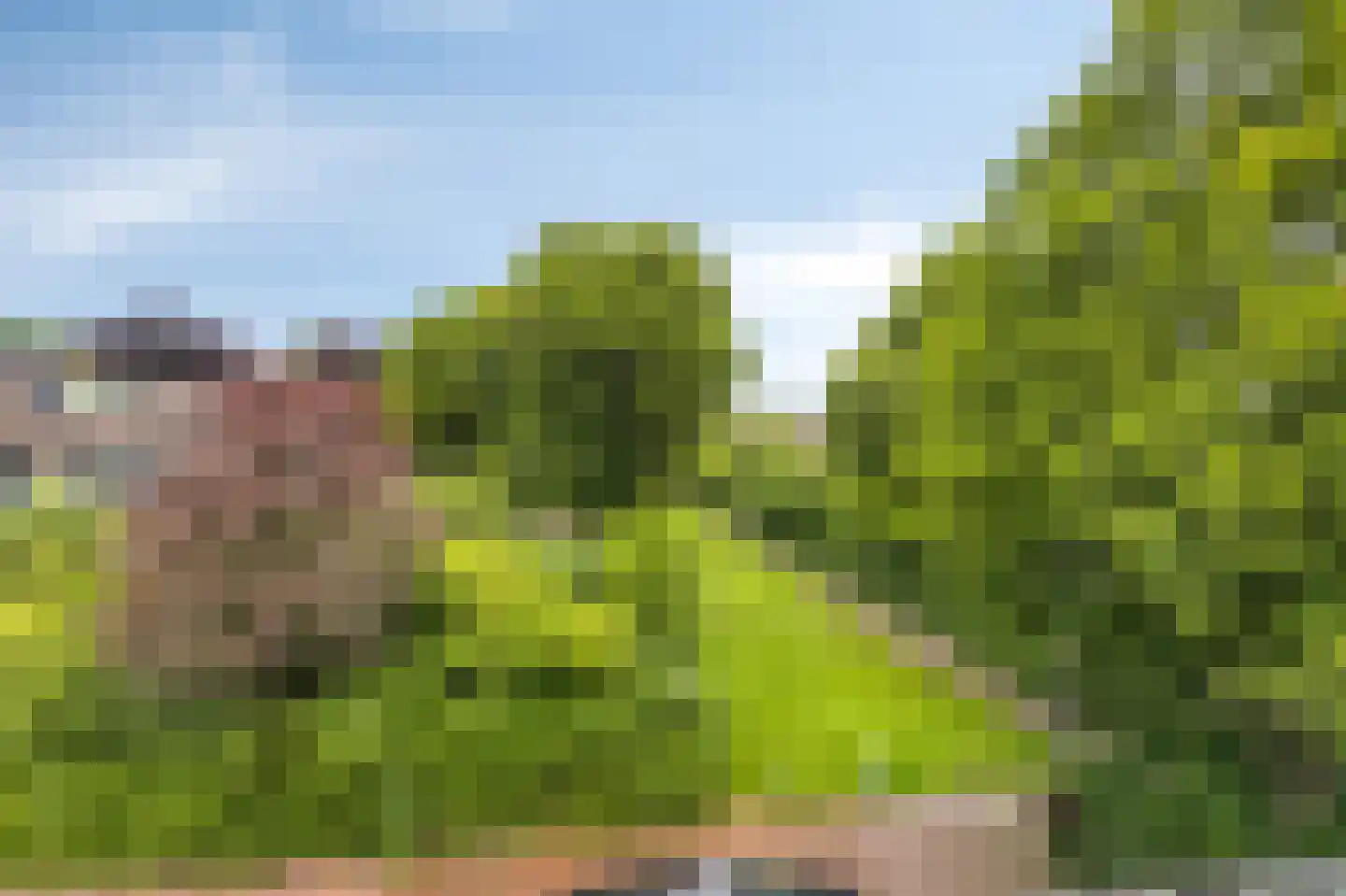 Collenkamp 9 Zevenaar thumbnail 60