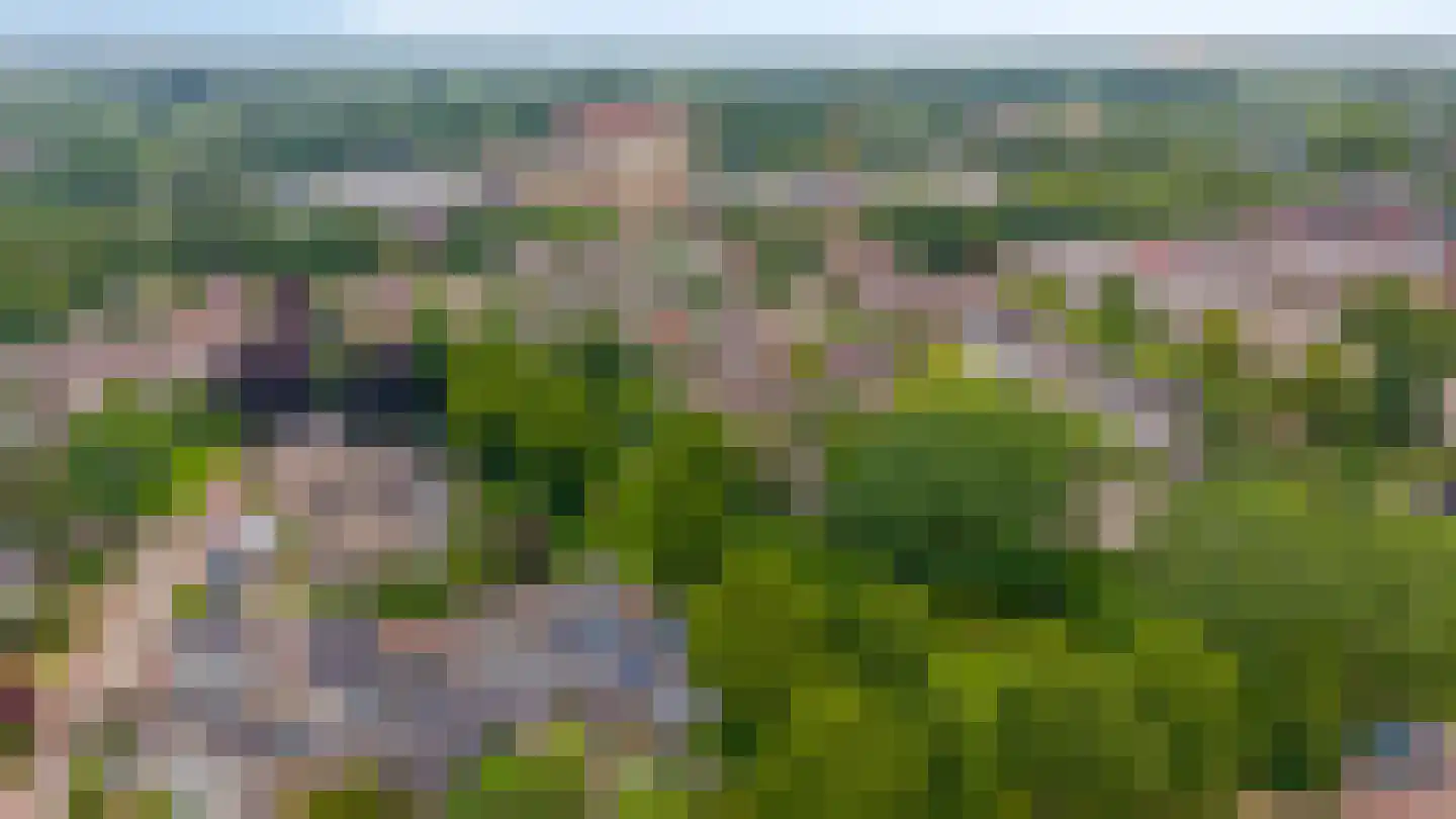 Collenkamp 9 Zevenaar thumbnail 63