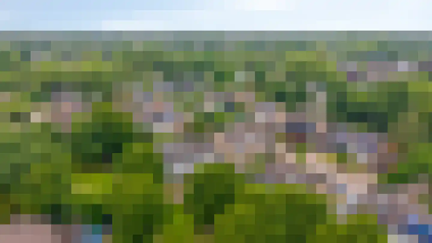 Collenkamp 9 Zevenaar thumbnail 64