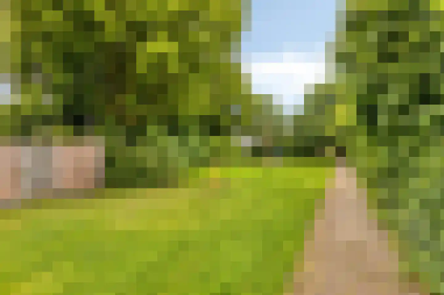 Collenkamp 9 Zevenaar thumbnail 7